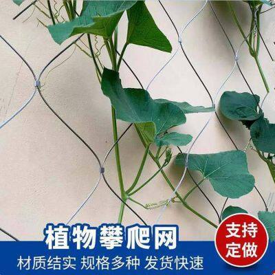 Metal Net, green plant climbing net, stainless steel wire rope, kindergarten outdoor to prevent falling net