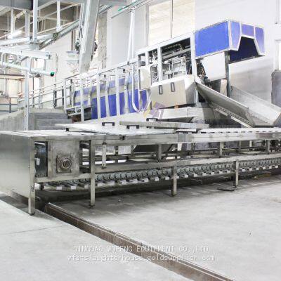 Large Slaughterhouse Pork Abattoir Processing Equipment From WFA Factory