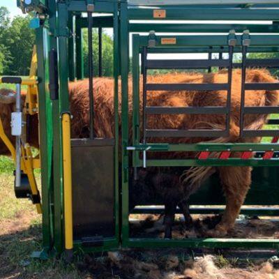 Stahl-Rampe zum Be- und Entladen von Rindern – umweltfreundlich, nagetierfest, wasserdicht, 8 ft hoch, einfach zusammenzubauen für landwirtschaftliche Zwecke photo-6