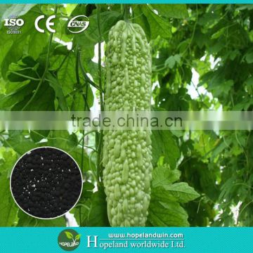 Pure natural biomass silicon magnesium fertilizer(RSSC) used to agriculture