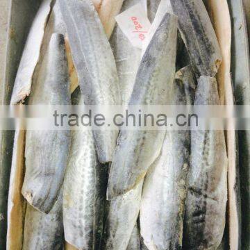 Frozen Spanish Mackerel Fillets photo-3