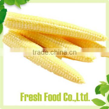 Best canned baby corn Newly baby sweet corn