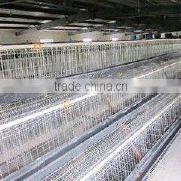 chicken feet / chicken feed / chicken cages from alibaba china