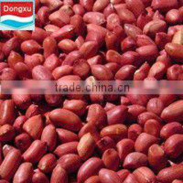 organic red peanut kernels from china