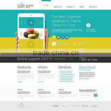 custom web development