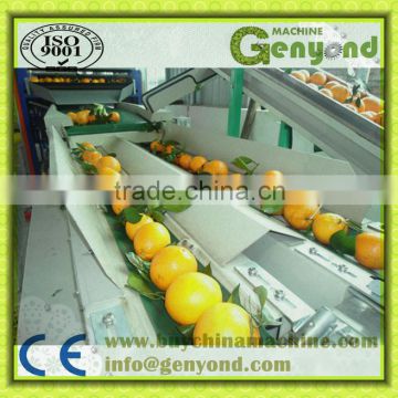 Straight Automatically Feeding Fruits Grading Machine