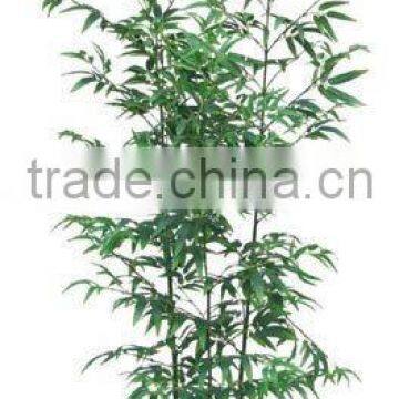 Artificial Silk Bamboo