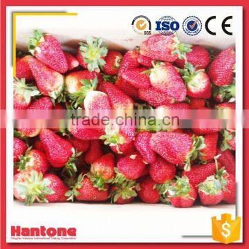 Frozen Diced Strawberry Slices photo-2