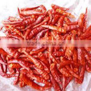 FRESH RED CHILI FROM VIETNAM