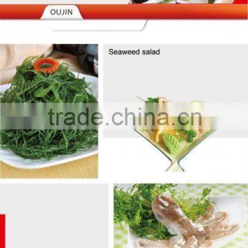 Delicious Seaweed salad -1kg