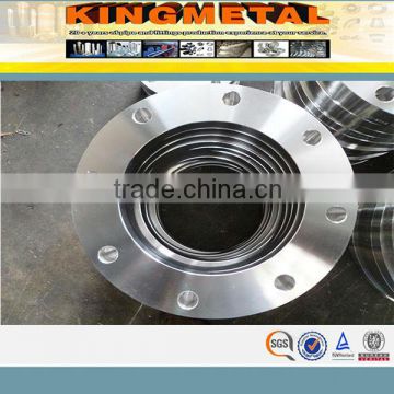 forged SS316 stainless steel flange