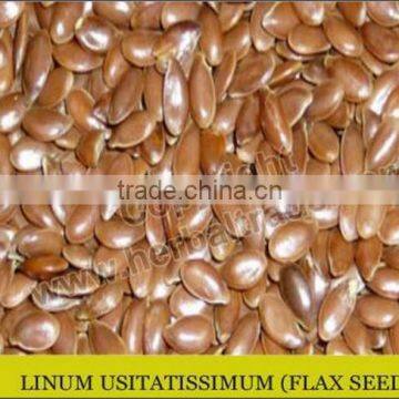 Flax Seed