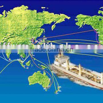 Sea Freight to Mumbai MOMBASA Kenya From Guangzhou Ningbo Shanghai Shenzhen photo-6