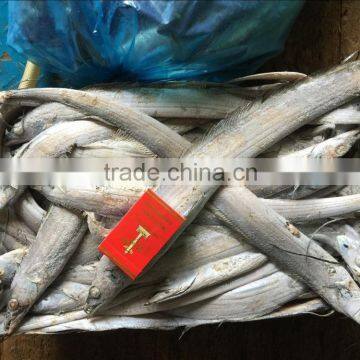 Good Quality of Frozen Ribbon Fish 120-300g photo-2