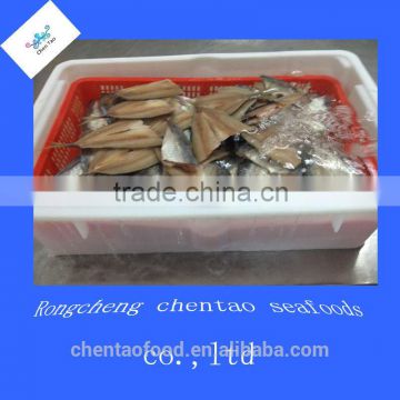 IQF fish frozen fish horse mackerel fillet