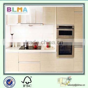 Professional customized kitchen cabinet direct from china