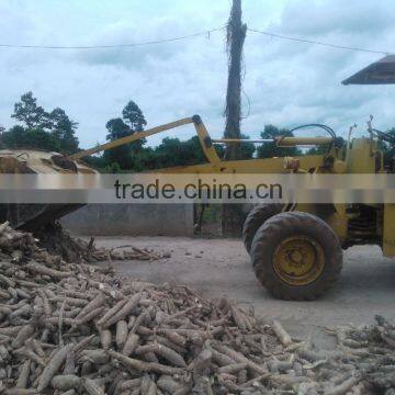Excellent Dried Cassava Chip photo-6