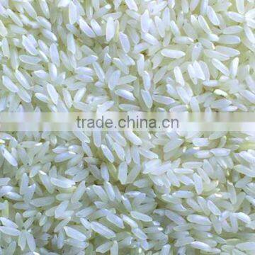 Short Grain White Rice 5% Broken in India