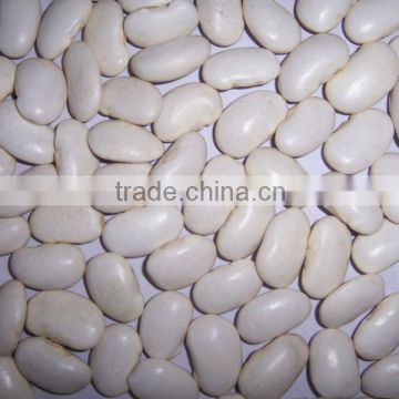 2015 good quality large white kidney beans for wholesale