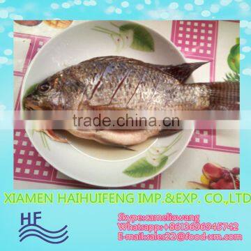 best tilapia frozen fish for Gutted and Scaled