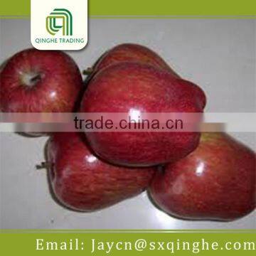 Chinese Fresh Huaniu Apple Wholesale Fruit Price photo-3