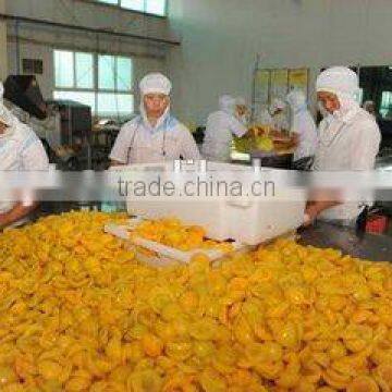 Frozen Yellow Peach photo-2