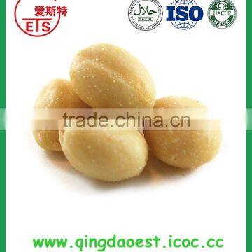 High quality Chinese blanched peanut kernel with nice taste and choose