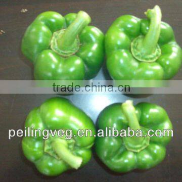 Own Farmland Fresh Green Bell Pepper 2013