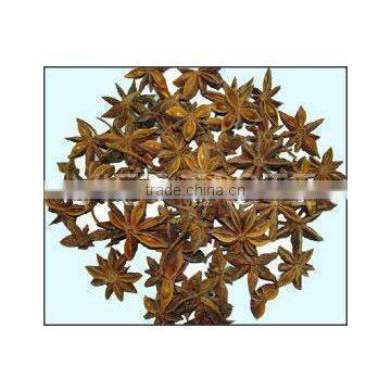 Star Aniseed Autumn Crop