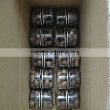 Hot Selling Healty Food Clove Balck Garlic Best Quality photo-3