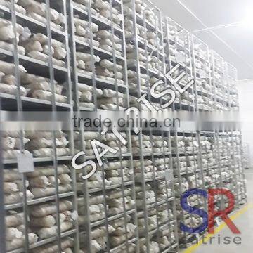 2016 High Quality Mushroom Cultivation Equipment Mushroom Shelf Low Price photo-4