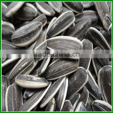 Sale Chinese Best Quality Raw or Roasted Sunflower Seeds In Bulk