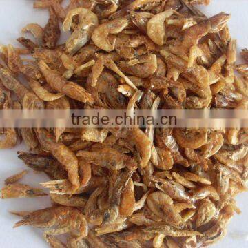 dried shrimp reptiles food