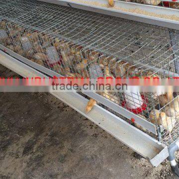 TAIYU direct factory egg chick cage with comfortable environment