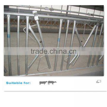 Dairy Farm Equipment Self-locking Headlock