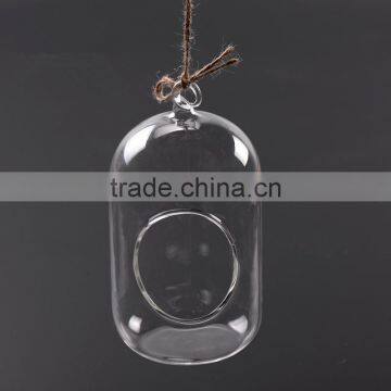 Hanging Micro Landscape Ecological Meaty Plant Glass Vase photo-3