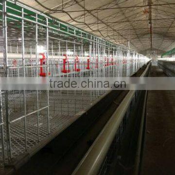 Best quality H type broiler cage,H type broiler layer cage