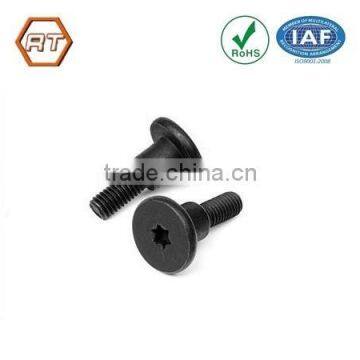 Customized black oxide stainless steel step bolts