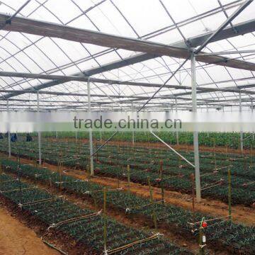 Ecnomic Multi Span Greenhouse With UV Film Covering photo-2
