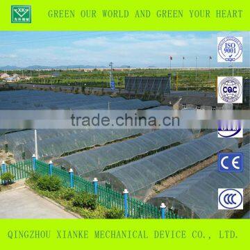 Multi-Span Commercial Polycarbonate Greenhouse for Sale photo-3