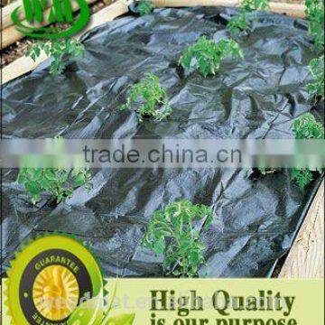 Black and Green Line pe Weedmat photo-5