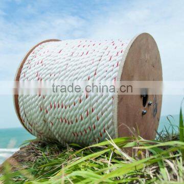 MULE TAPE photo-3