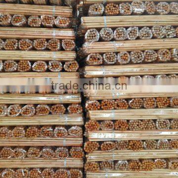 Good Quality Wooden Broom Handle With Long Cap photo-2