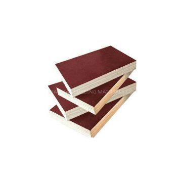 Excellent Quality Film Faced Plywood