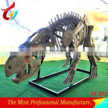 Competitive Price New Fiberglass Dinosaur Fossil Replica for Dino Park