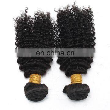 8A Virgin Hair Kinky Curly 100% Natural Original Brazilian Human Hair for Black Women photo-5