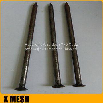 40D 5inches Length Galvanized Common Wire Nails photo-3