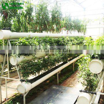 2019 China Cheap Hydroponics Greenhouse for Tomatoes Glass Greenhouse