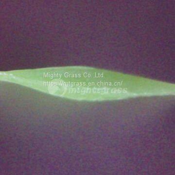 Residential Artificial Grass, MT-Promising / MT-Marvel photo-2