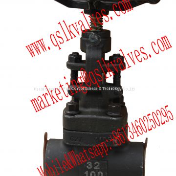 High pressure forged type globe valve